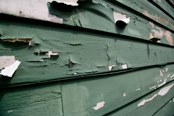 Best Residential Junk Removal  in Fenton, MO